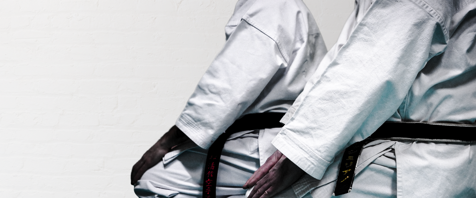 Karate Shotokan: tradizione e movimento