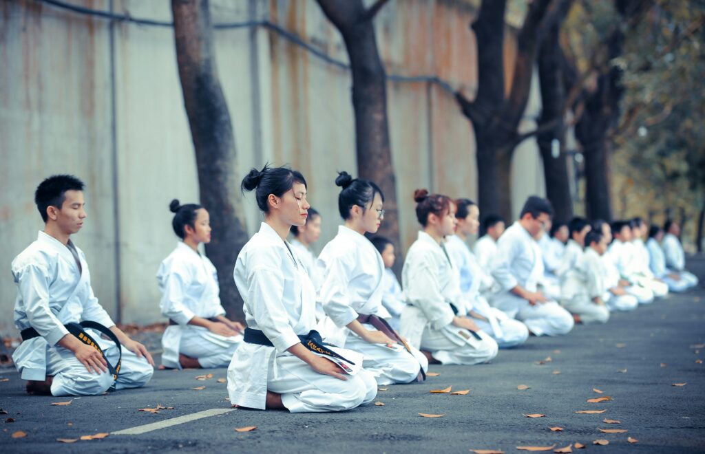 karate zarei immagine